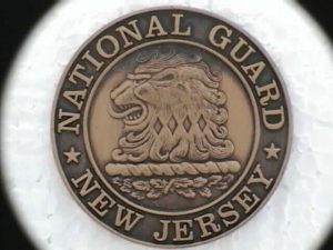 National Guard Lapel Pin